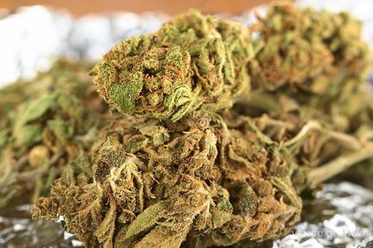 ¿Qué es la droga Spice?, ¿qué tan peligrosa es?