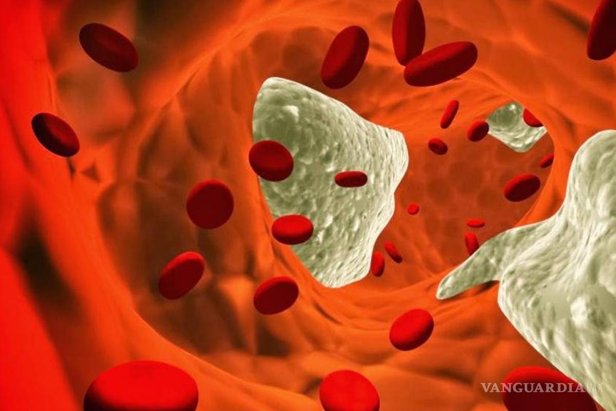 Científicos mexicanos diseñan pulsera que mide el colesterol