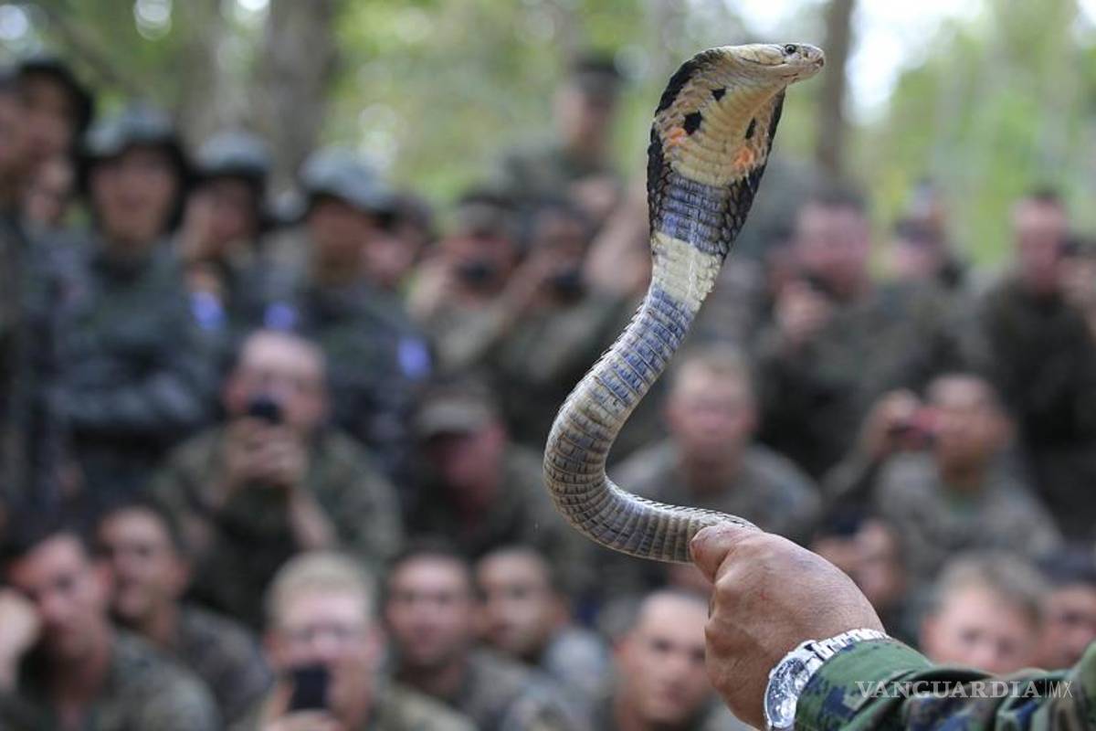 Soldados enfrentan sus miedos en el Cobra Gold