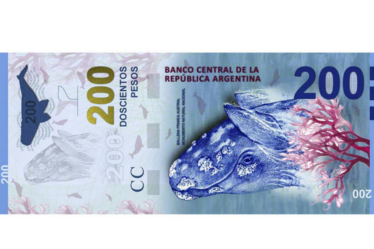 Polémica en Argentina por nuevo billete con ballena deforme