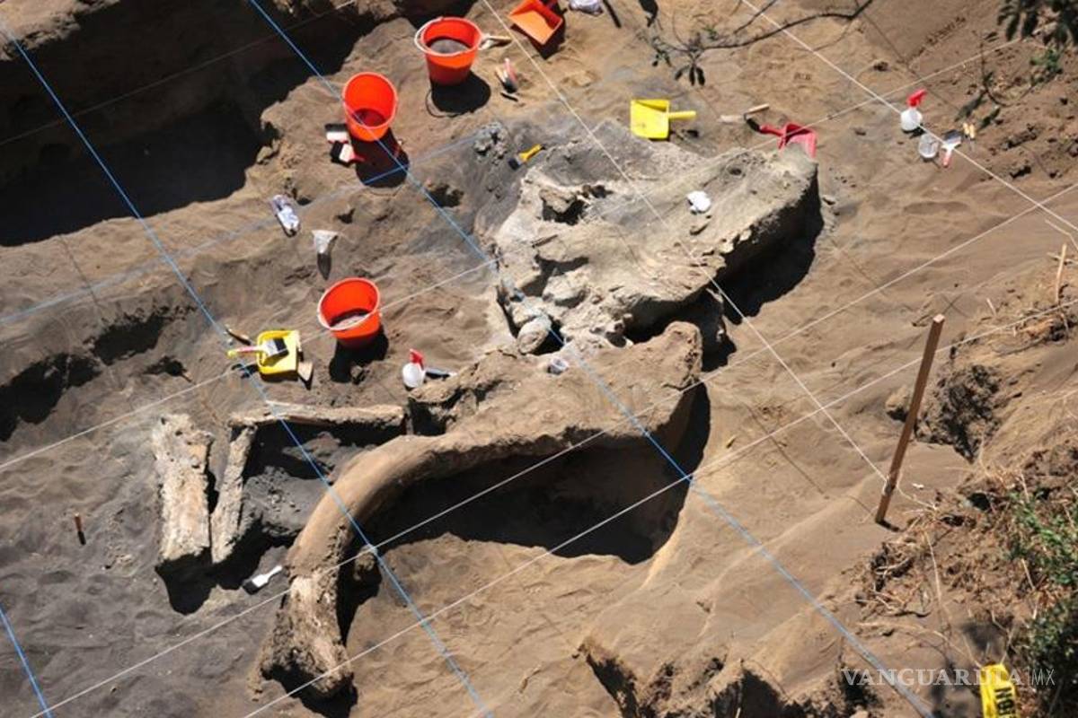 Mamut de Milpa Alta: nuevos hallazgos