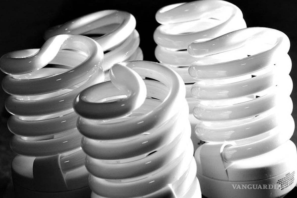 $!10 consejos para combatir el cambio climático desde casa