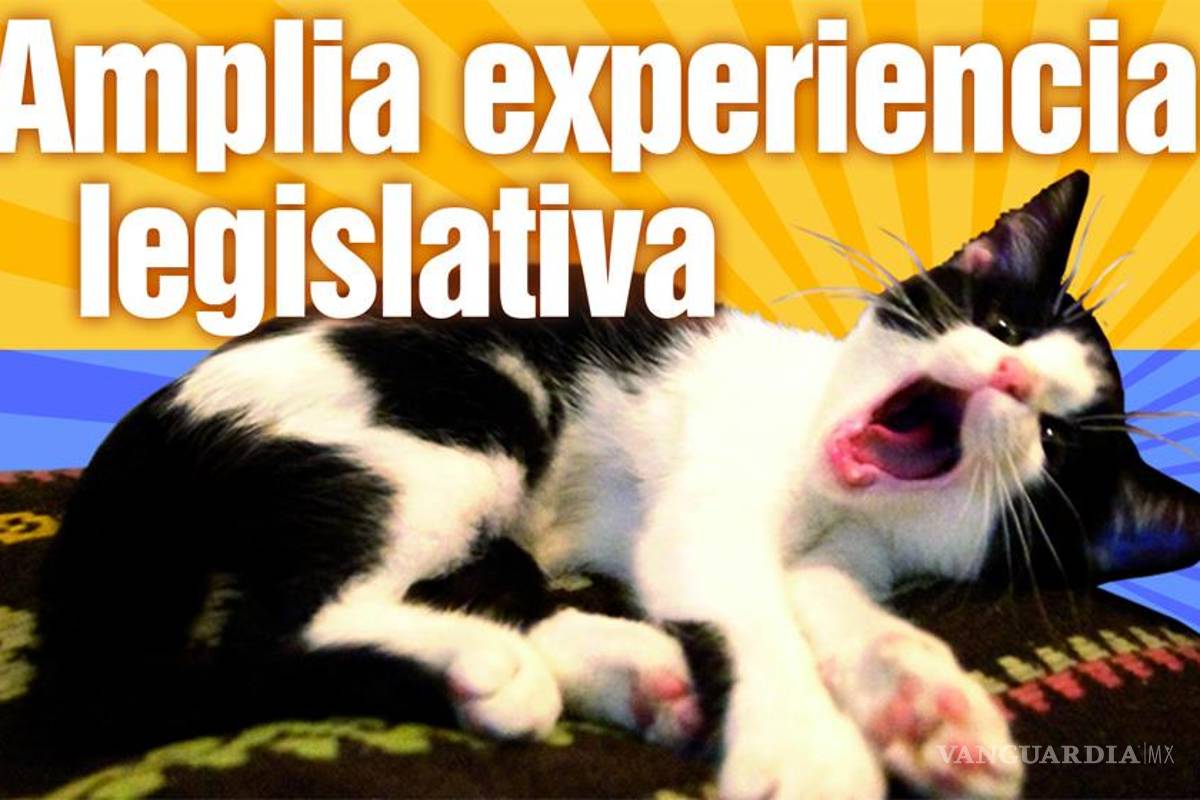 Acusan al 'Candigato Morris' de trabajar para el PRI; él lo niega en redes sociales