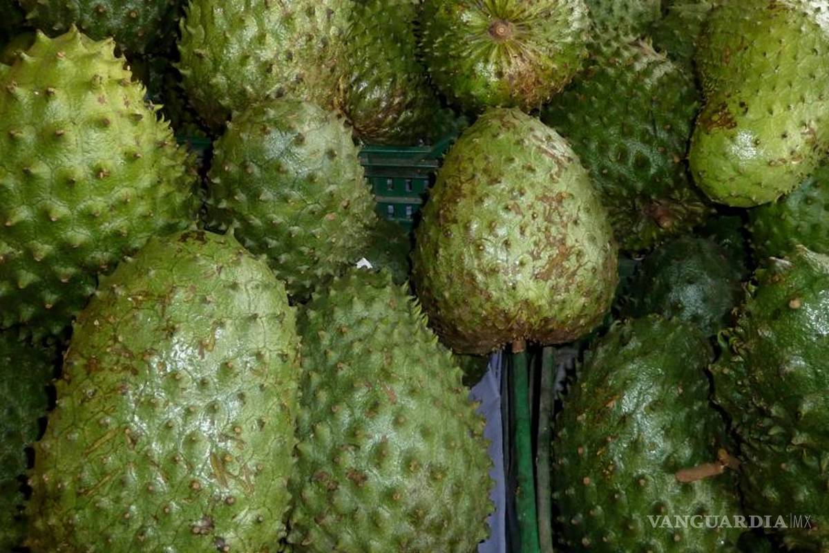 Guanábana, ¿esperanza contra el cáncer?