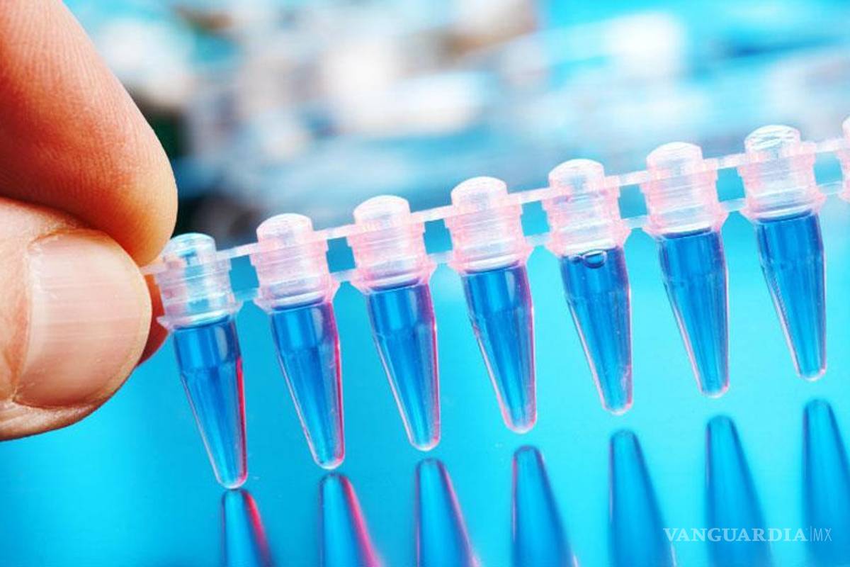 Existe un segundo lenguaje dentro del código genético humano