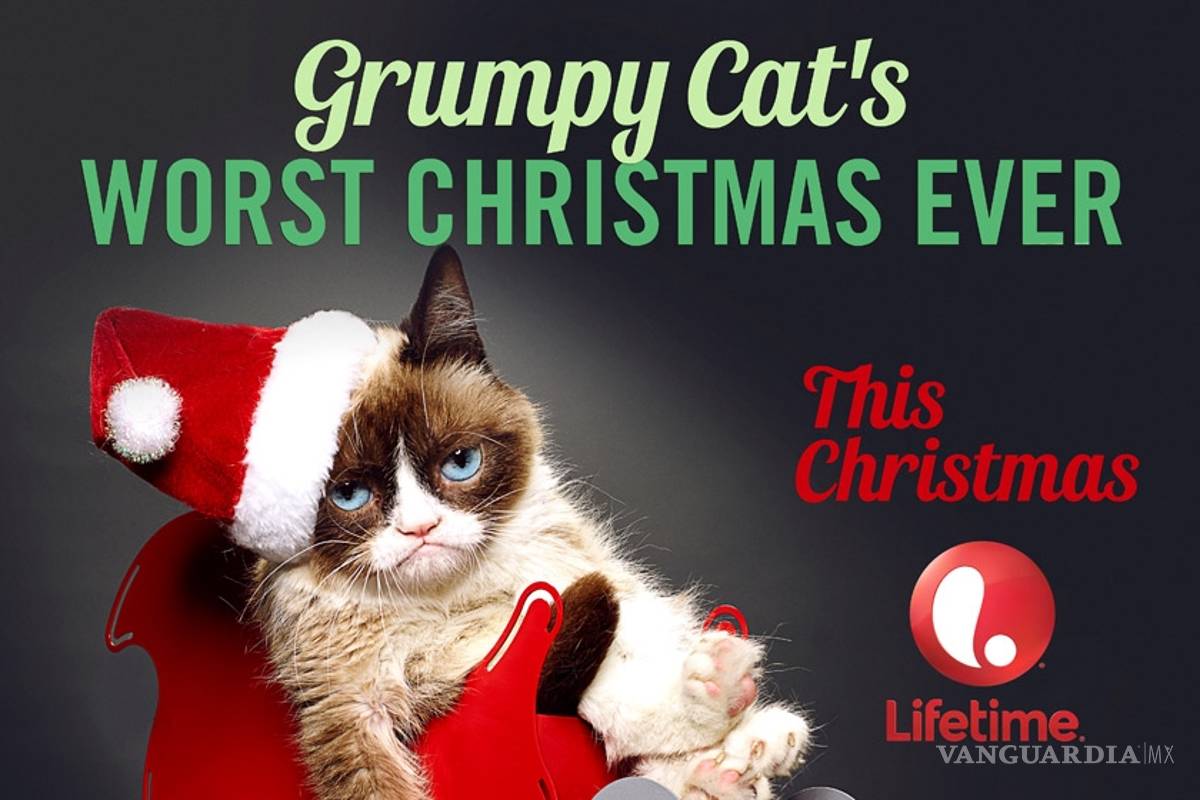 Grumpy Cat estrena tráiler oficial de su primera película