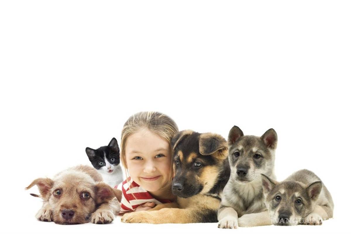 Cómo las mascotas cuidan a los niños