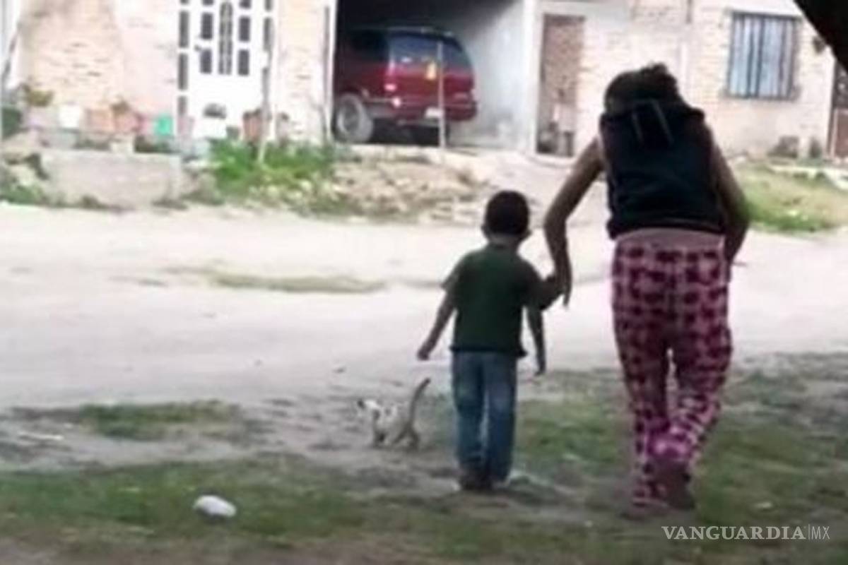 Mujer quema vivo a gatito y desata furia en redes sociales