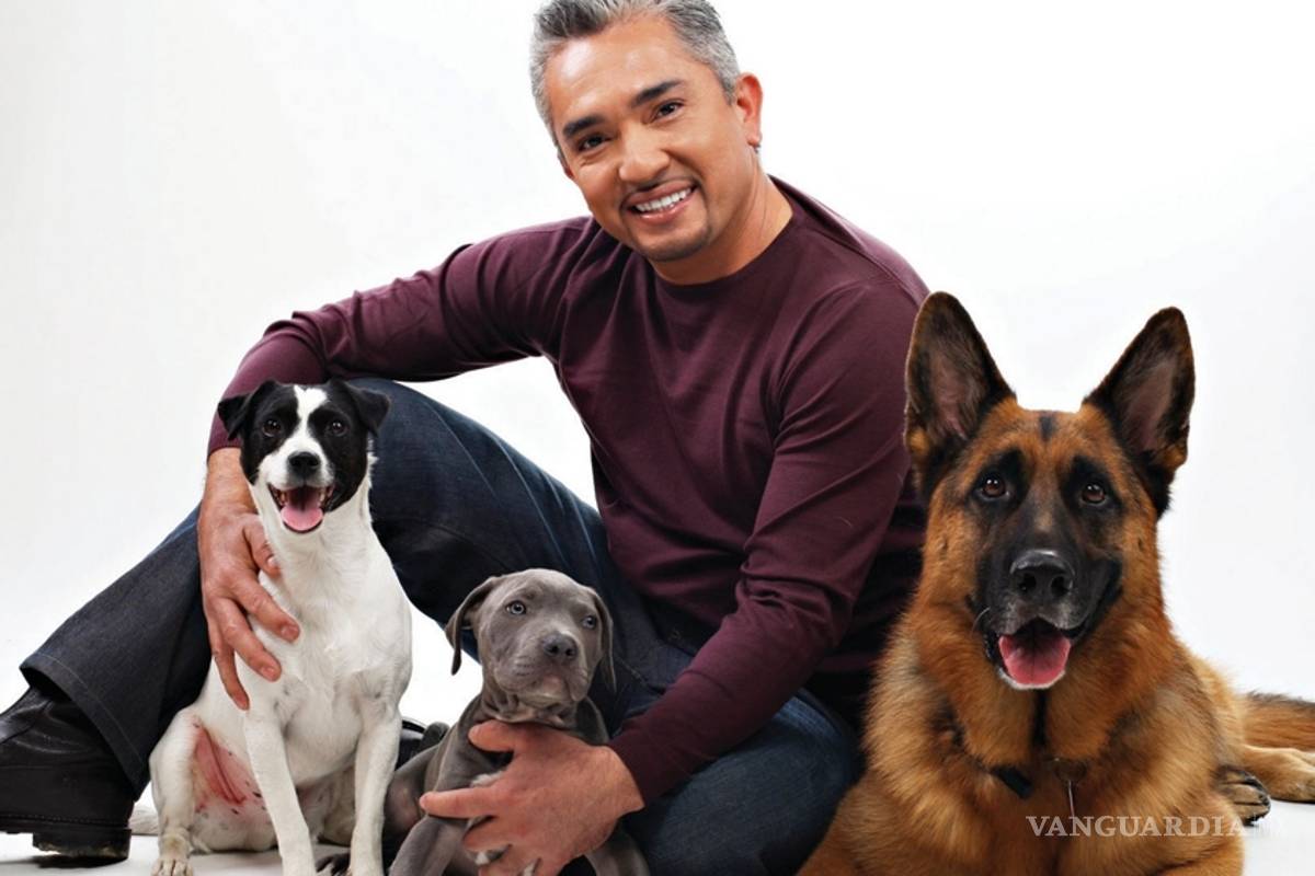 César Millán aplaude medidas para proteger a los animales