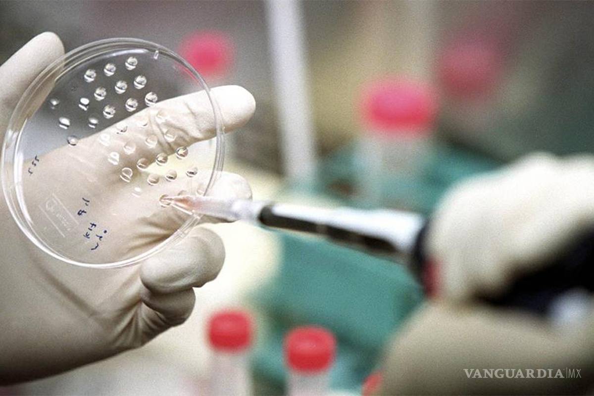 El último estudio nipón sobre células madre contenía partes 'fraudulentas'