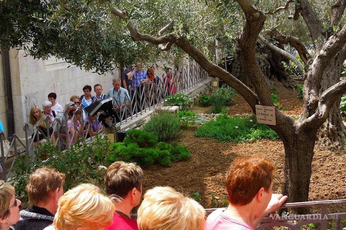 Huerto de Getsemaní, esencia de la Pasión
