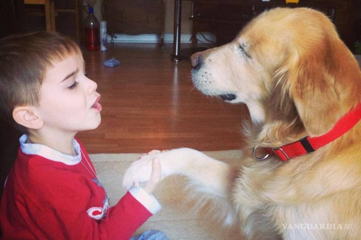 Smiley, el perro que nació sin ojos conmueve al mundo con su historia