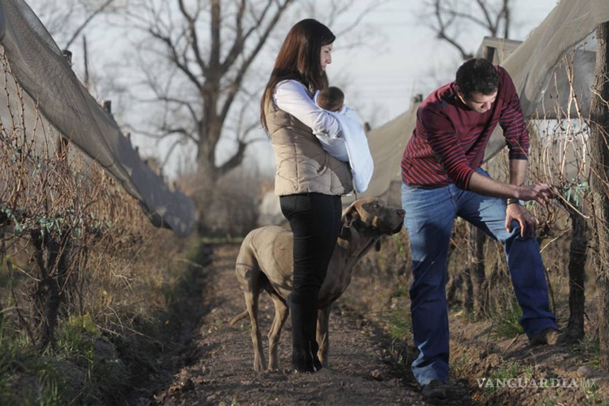 De urbanitas a neorrulares, un alternativo estilo de vida