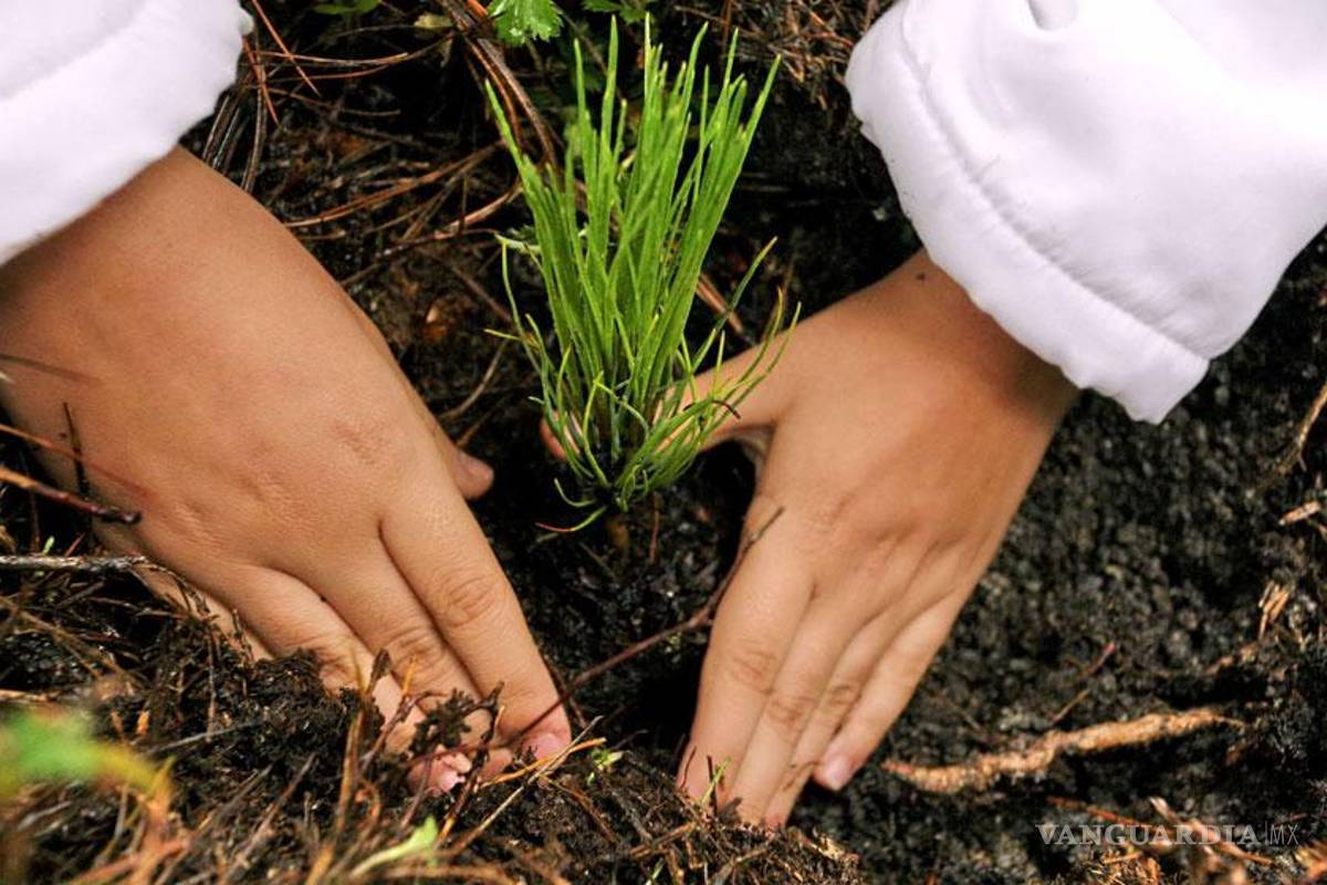 Semarnat entrega 163 mdp más para mitigar cambio climático en Tabasco