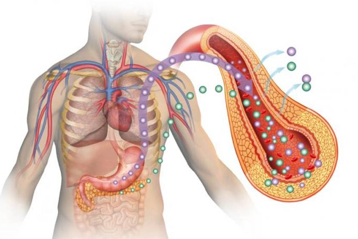 Desarrollan páncreas biónico que controla la diabetes tipo 1