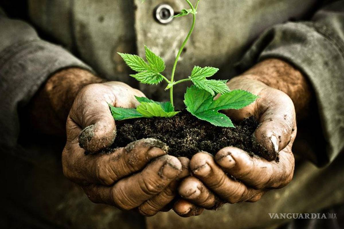 Hoy, Día de la Madre Tierra: Cuida el ambiente