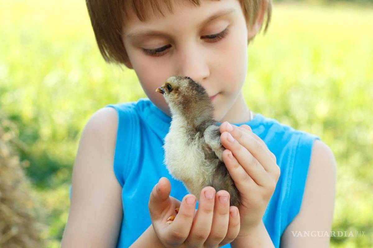 29 de abril, Día Mundial de los Animales