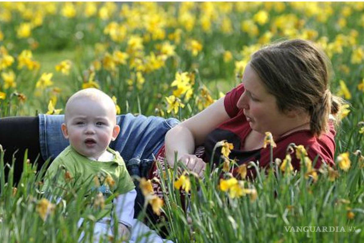 Los mejores y los peores países para ser mamá
