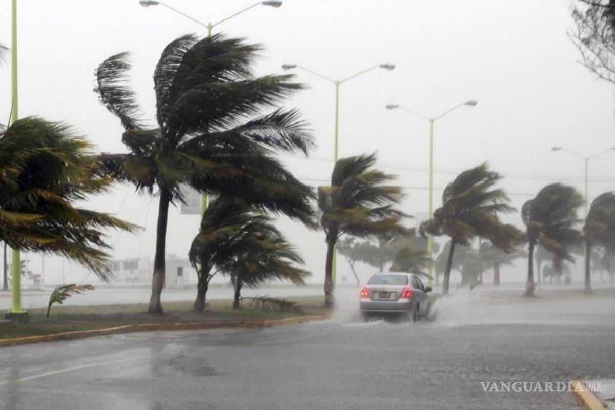 Alertan de posible desarrollo de tormenta tropical 'Danny'
