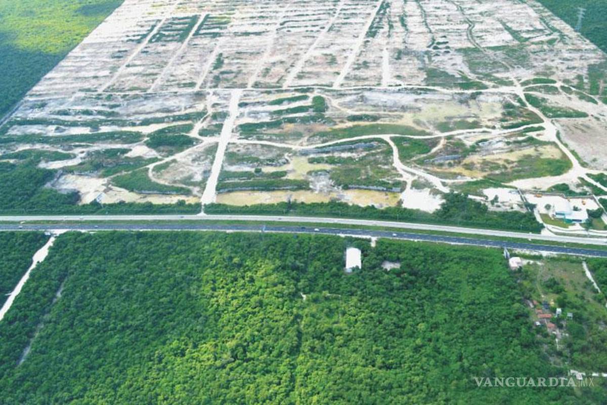 Proyecto Dragon Mart enfrenta nueva crisis