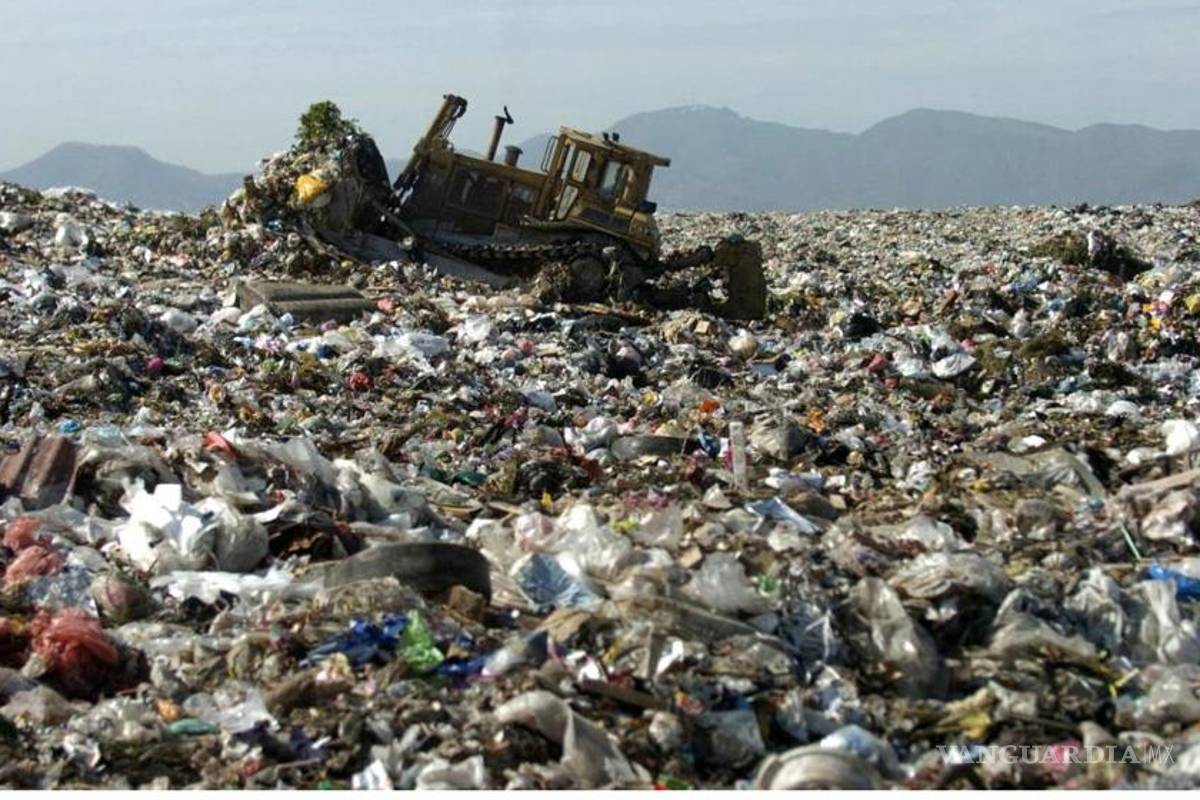 Autoridades corruptas, las que propician deterioro del medio ambiente en México