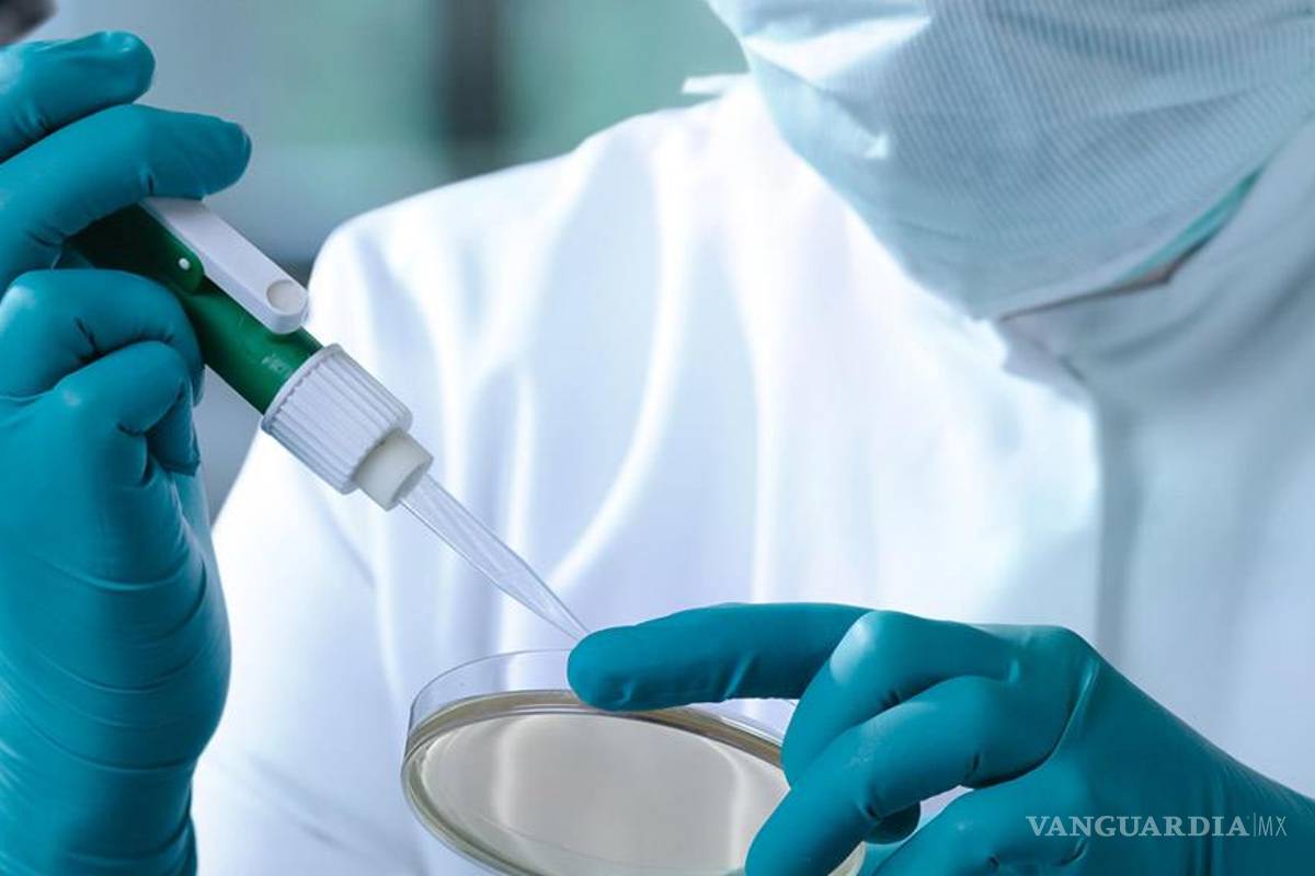 Inversión en ciencia y tecnología está lejos de la que debería ser: Conacyt