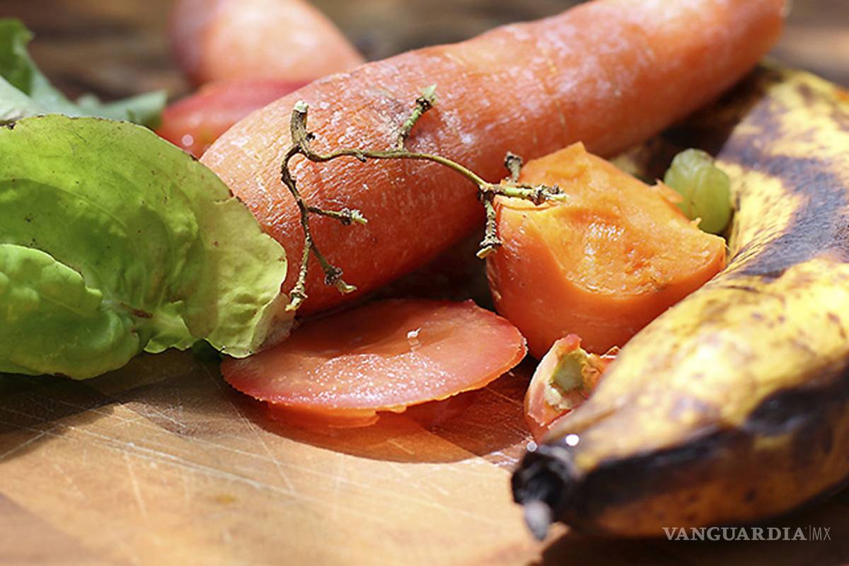 ¿Probarías comida reciclada?