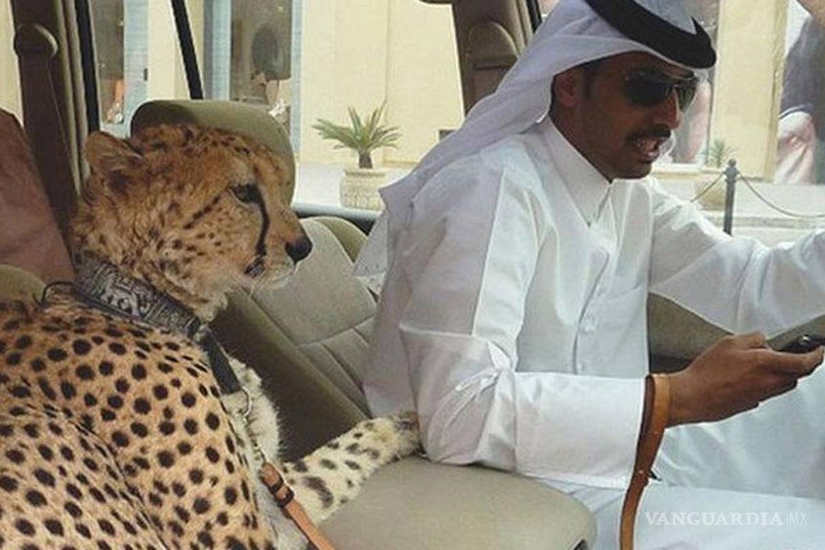 Entre oro y fieras, la vida de los millonarios en Dubai