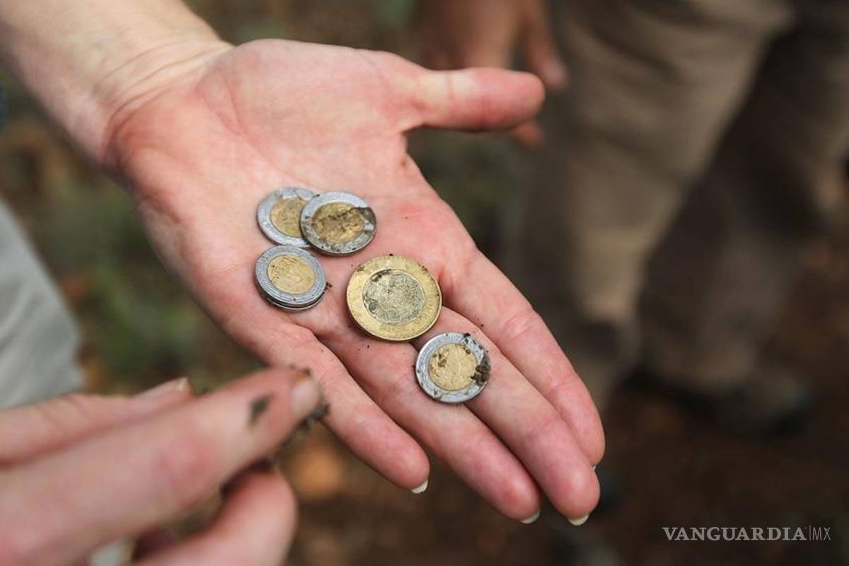 IVA en alimentos y medicinas sólo beneficia a ricos: Expertos