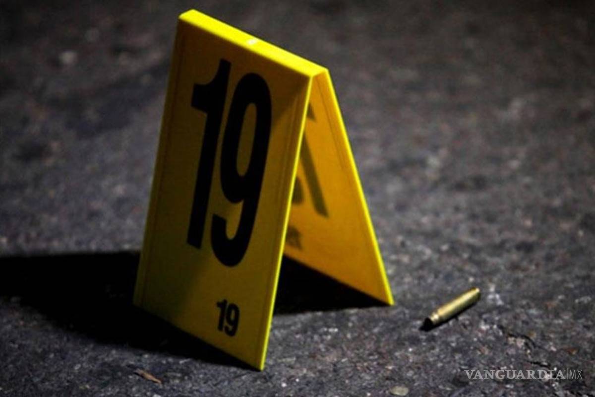 Gobierno retoca datos de la violencia en México: Académicos de EU