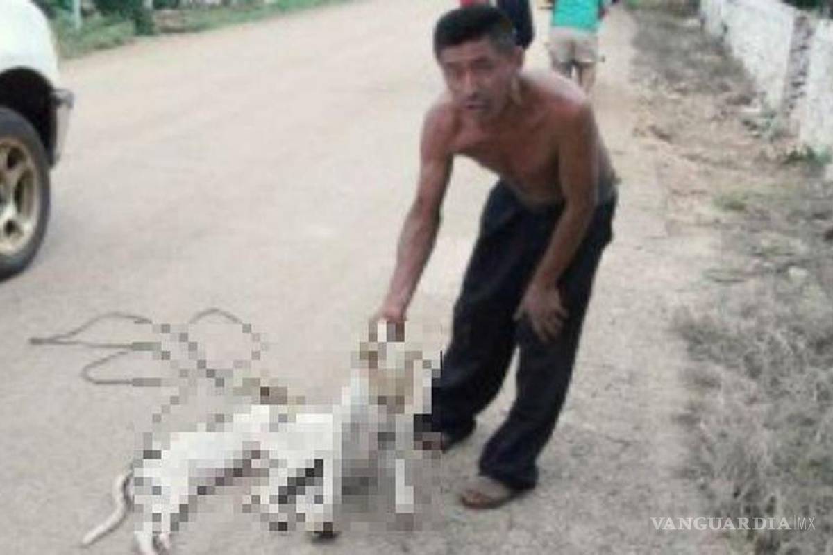 'Mataperros' de Yucatán: exigen aplicación de nueva ley
