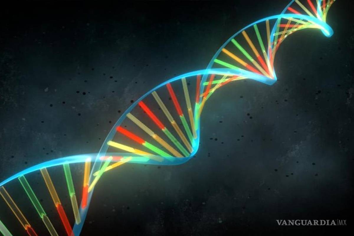 El Supremo de EU prohíbe que el ADN humano sea patentado