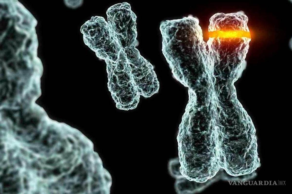 Google buscará la clave de la vida eterna