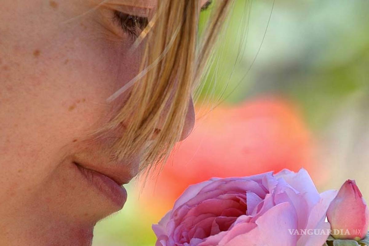 Las plantas son sensibles e Inteligentes