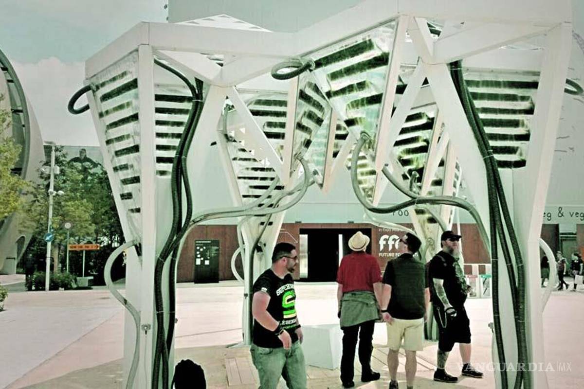 ¡Pieles verdes y alimenticias!, para edificios