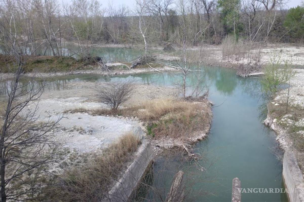 Pierden ríos de Coahuila su biodiversidad; urge intervención de autoridad