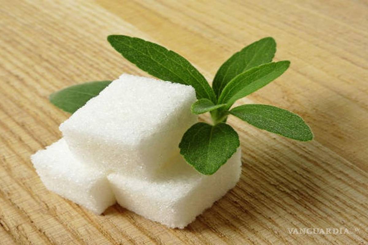 Stevia: una alternativa para cuidar peso y salud