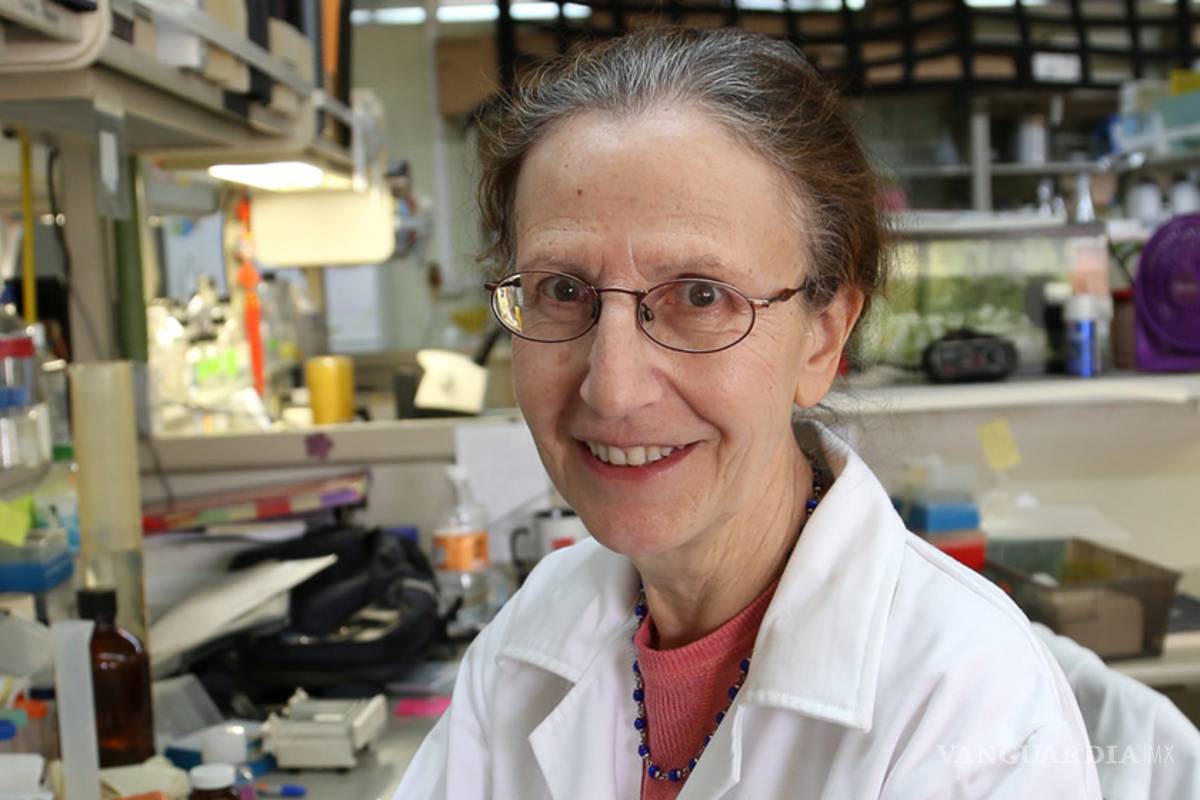 Aporta ciencia básica mexicana al conocimiento sobre inmunología