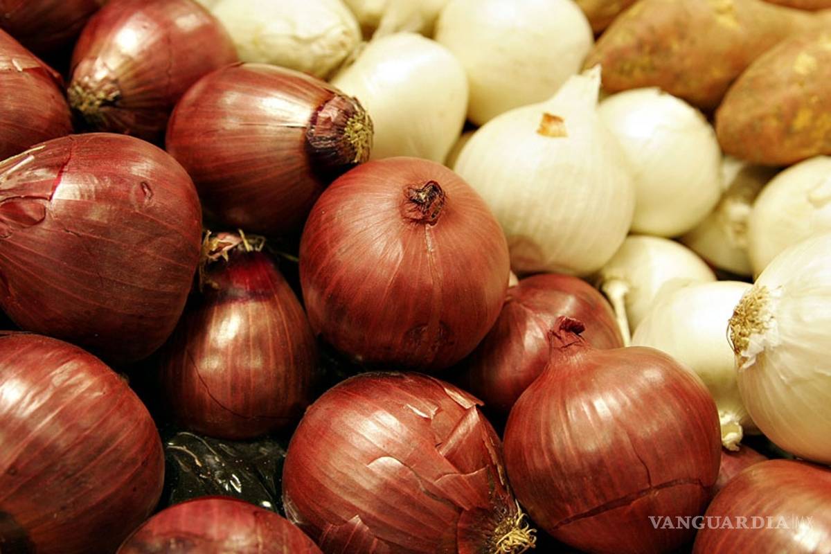 Crean en Japón una cebolla que no provoca lágrimas