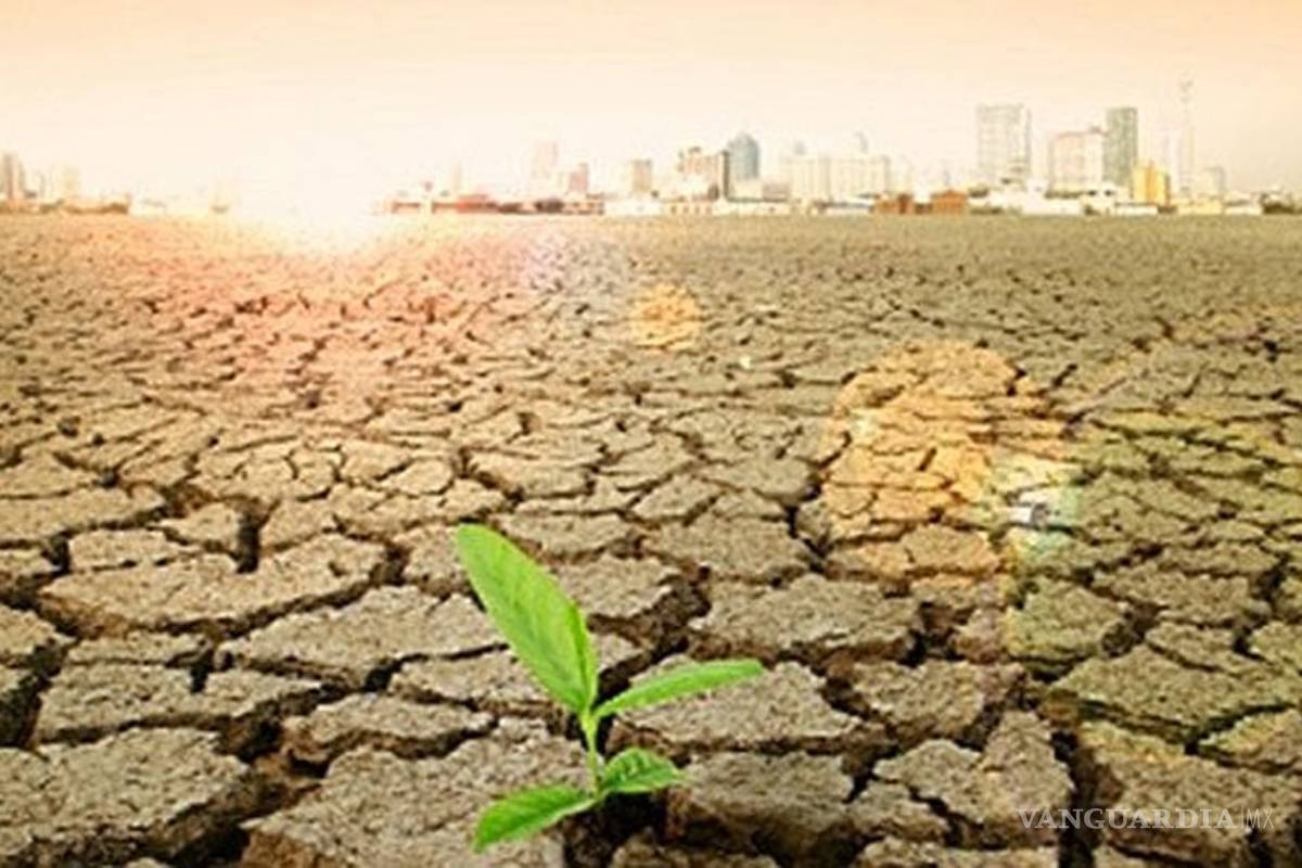 Cambio climático traerá graves efectos en la alimentación