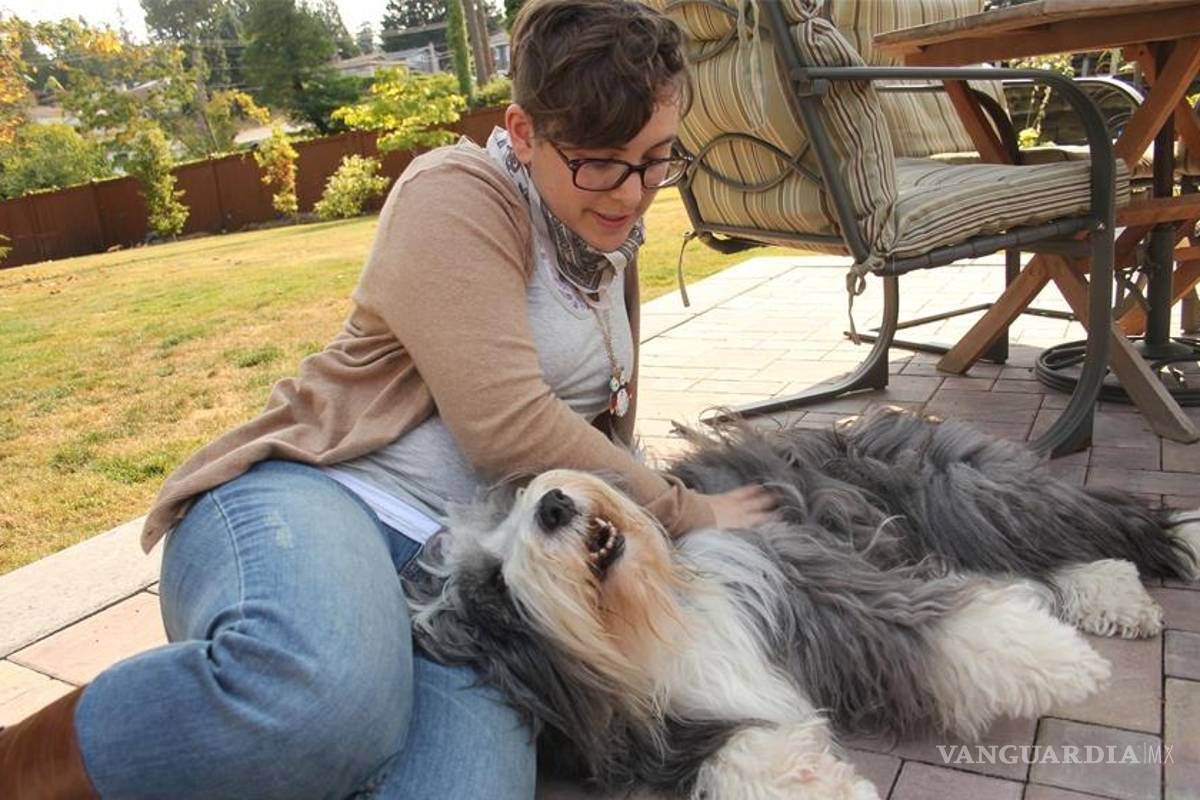 ¿Alimentas o nutres a tu mascota?