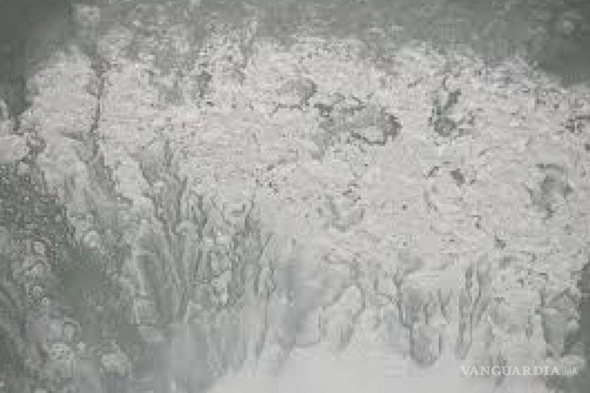 Científicos poblanos desarrollan talco para aliviar heridas y úlceras de pie diabético