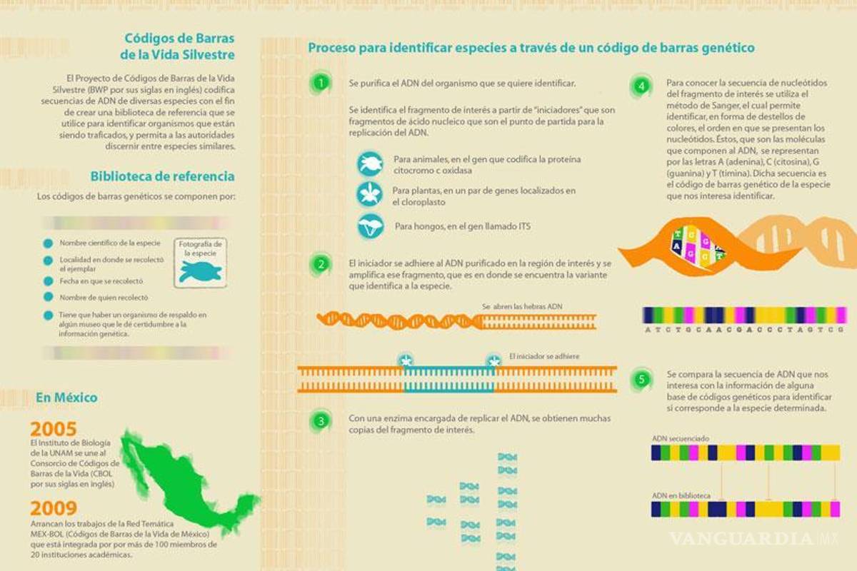 Códigos genéticos de la vida silvestre, futuras pruebas contra el tráfico ilegal