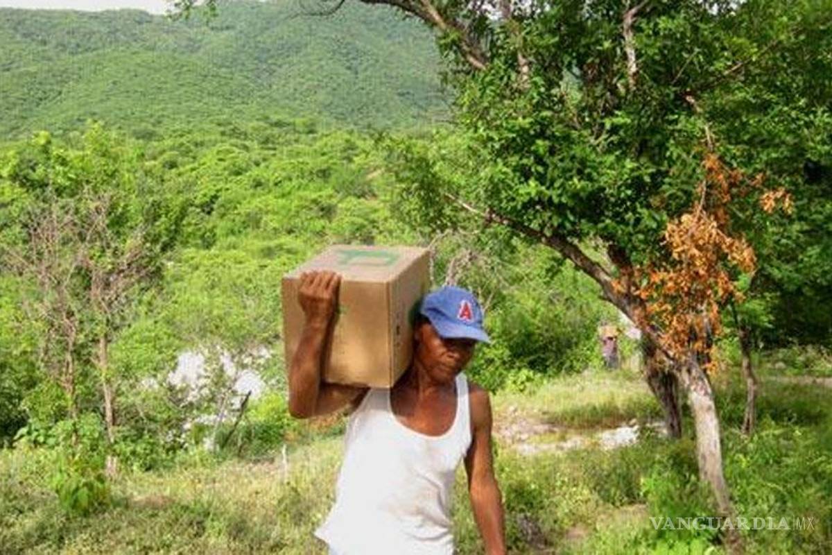 Indígenas envenenados por plaguicidas en Nayarit