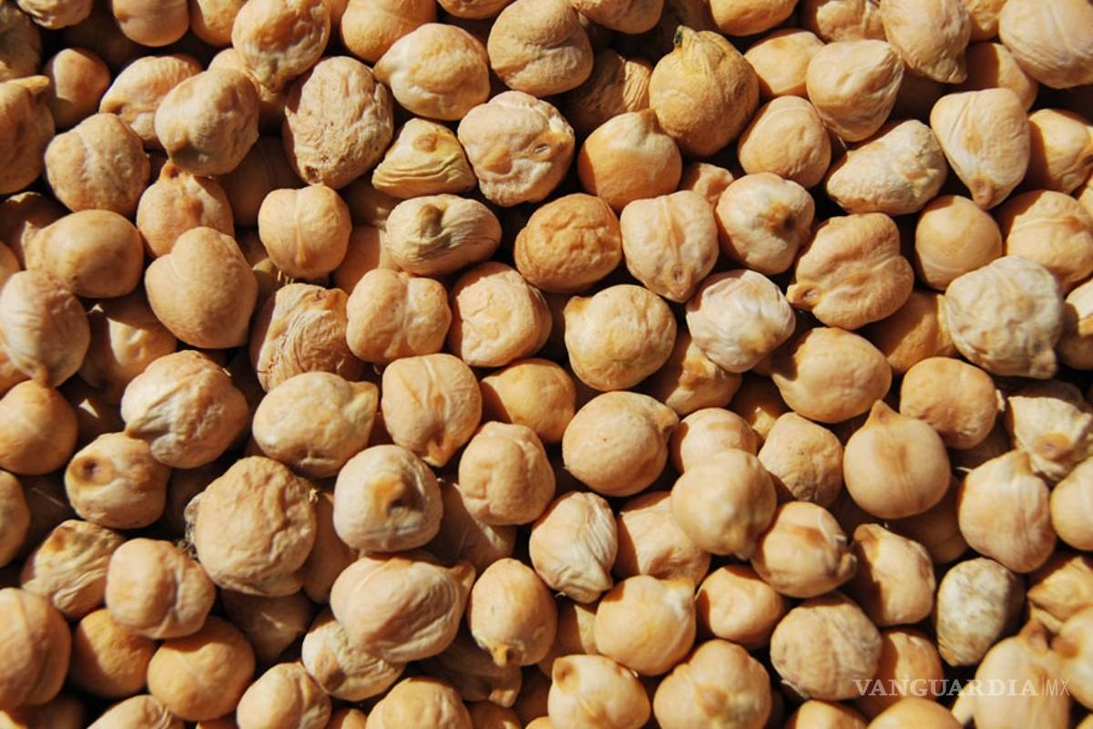 Proteína del garbanzo, alternativa contra la hipertensión