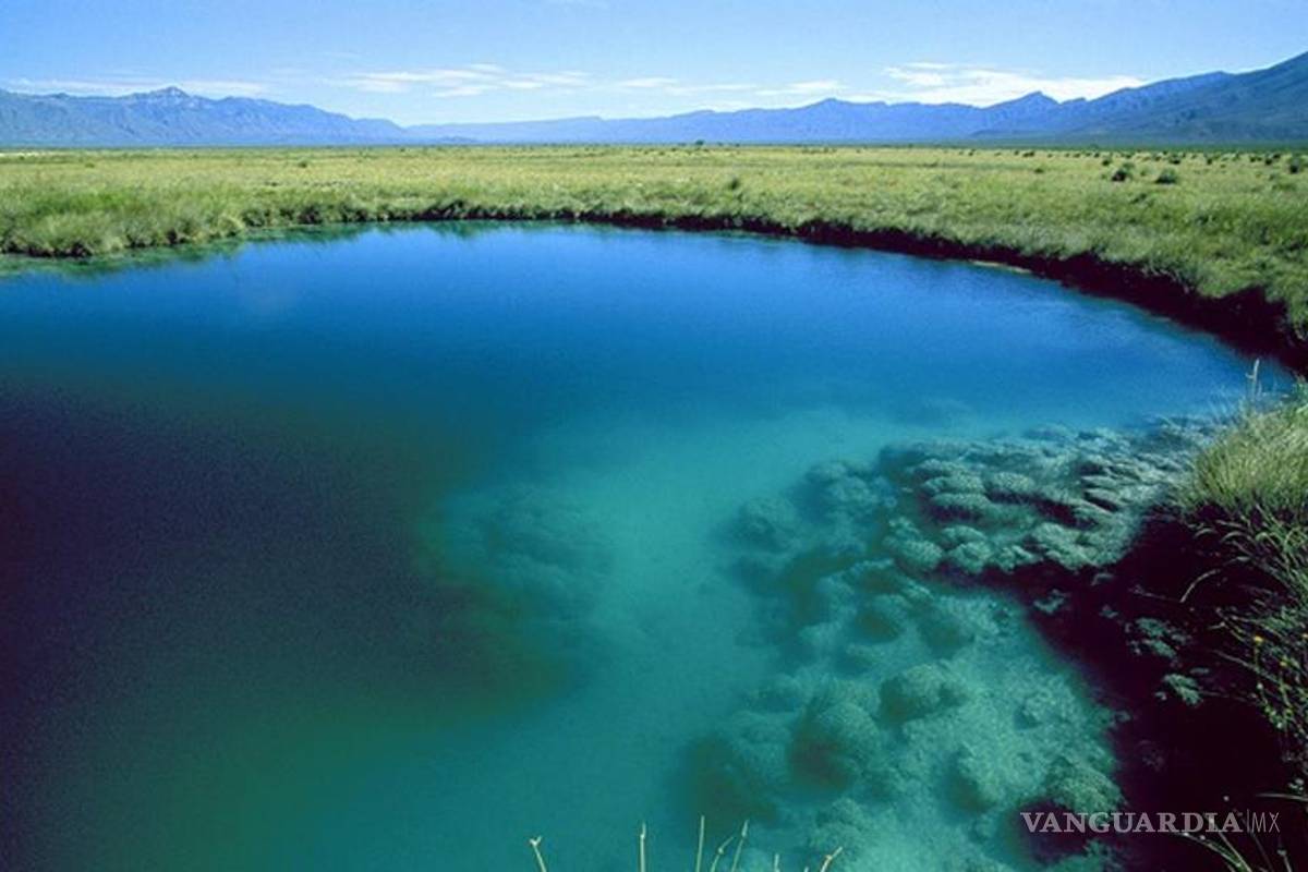 Cuatrociénegas: Pozas azules y un desierto blanco seductor