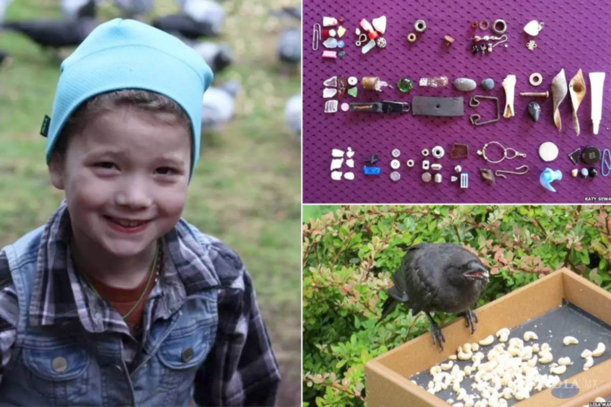 Pequeña alimenta a cuervos y ellos le dan regalos