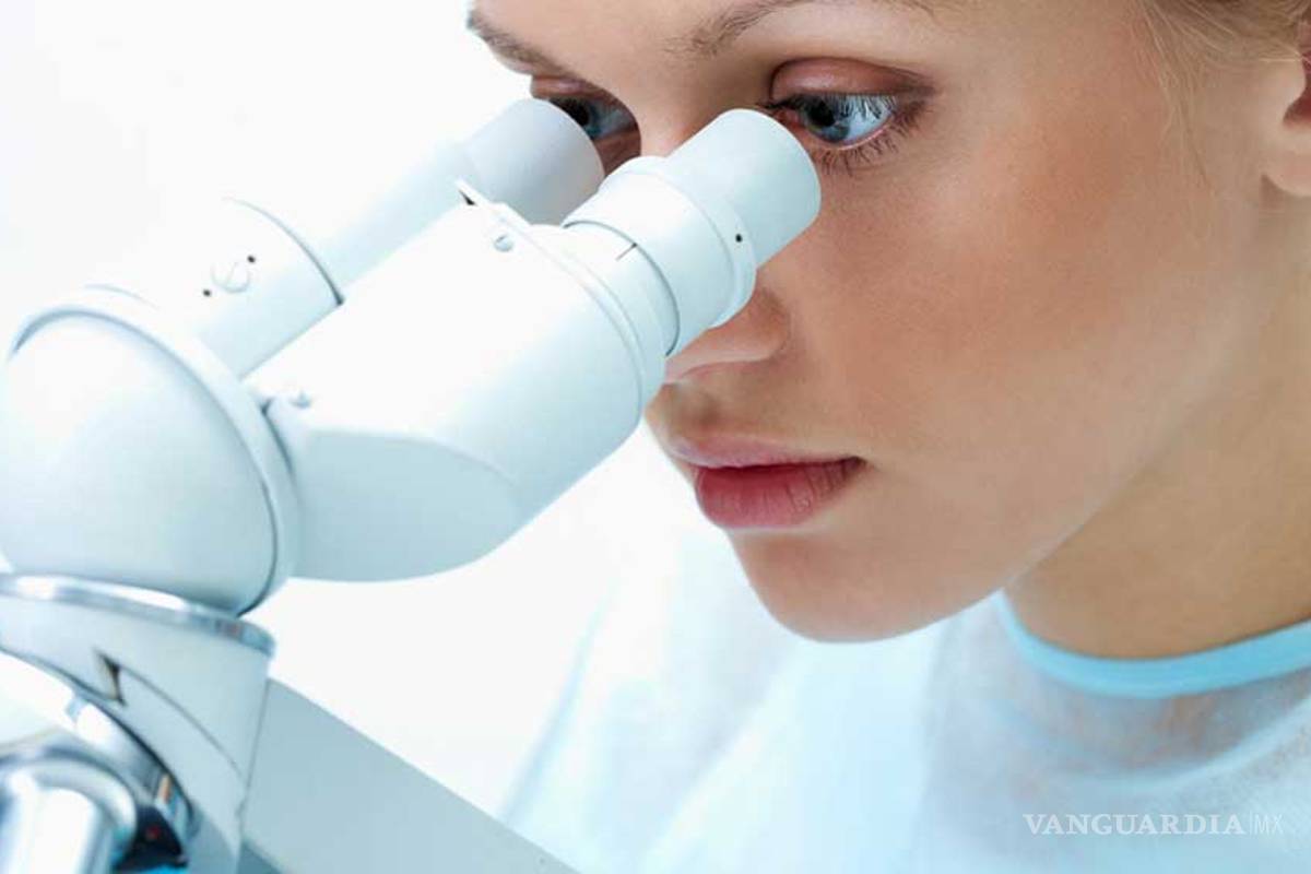 Propone Ejecutivo 16% más para Ciencia, Tecnología e Innovación en 2014