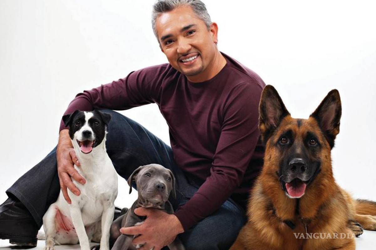 Perro instruido por César Millán muerde a un vecino