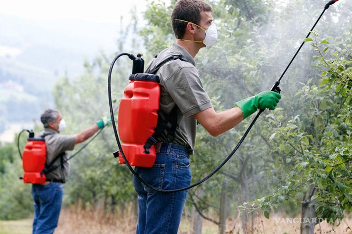 Los médicos ligan el cáncer de un pueblo argentino a los agroquímicos
